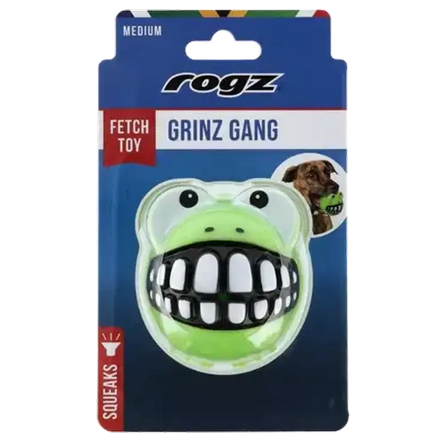 Checkers Sixty60 | Rogz Grinz Green Frog Dog Toy Medium
