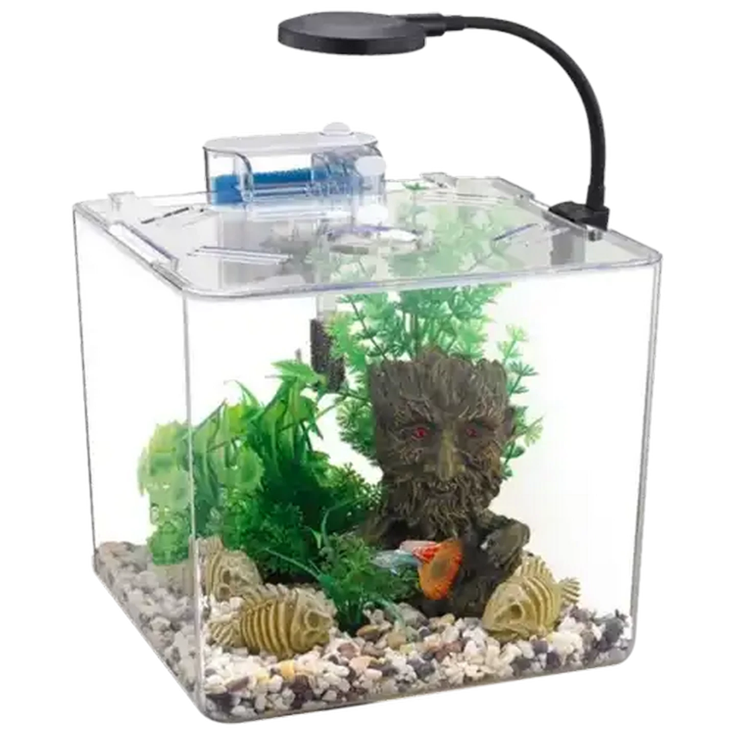 Checkers Sixty60 | Daro Desktop Fish Tank 250x250x220