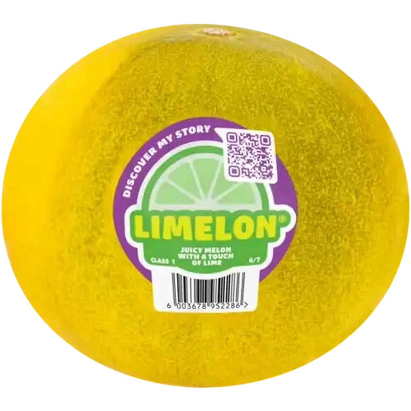 Checkers Sixty60 | Limelon 1s
