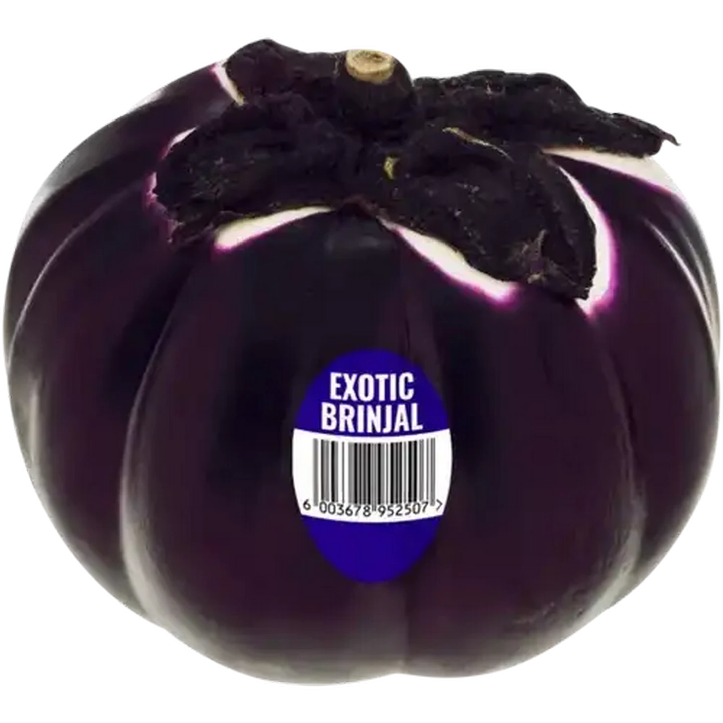 Checkers Sixty60 | Exotic Brinjal 1s