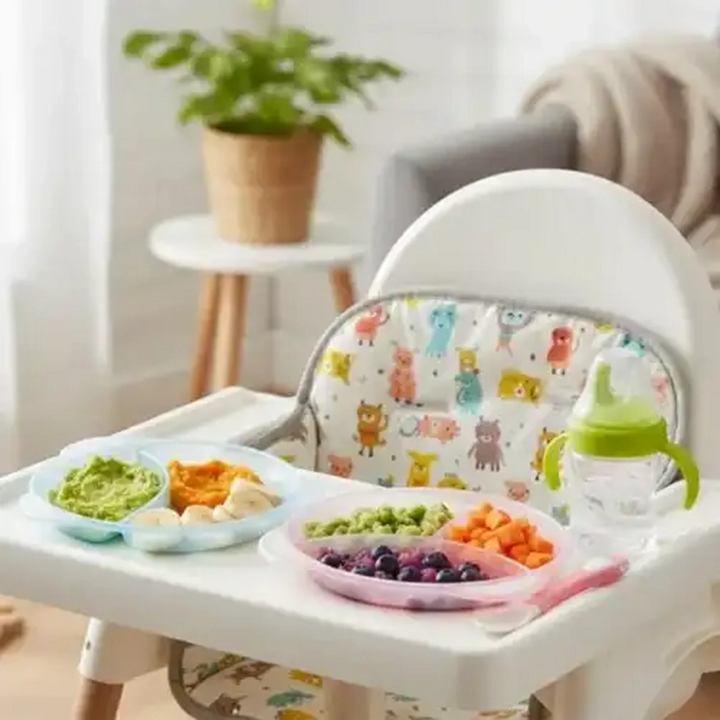 Image of Jolly Tots Brights Divided Plate 6 Months + (Colour May Vary)