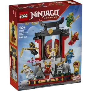 Checkers Sixty60 | LEGO® Ninjago Ninja Character Display 15th