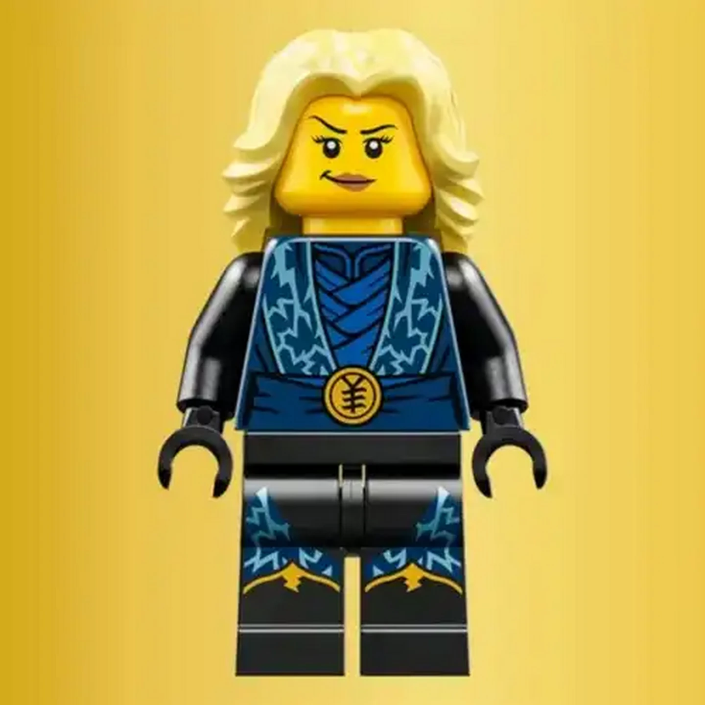 Checkers Sixty60 | LEGO® Ninjago Ninja Character Display 15th