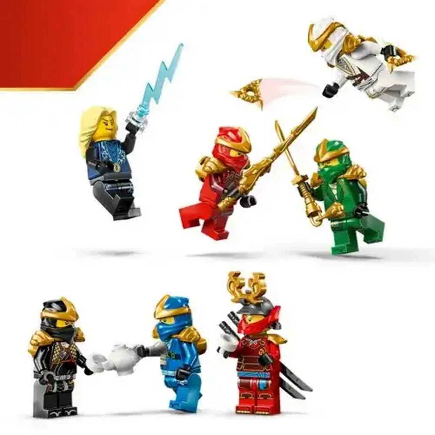 Checkers Sixty60 | LEGO® Ninjago Ninja Character Display 15th