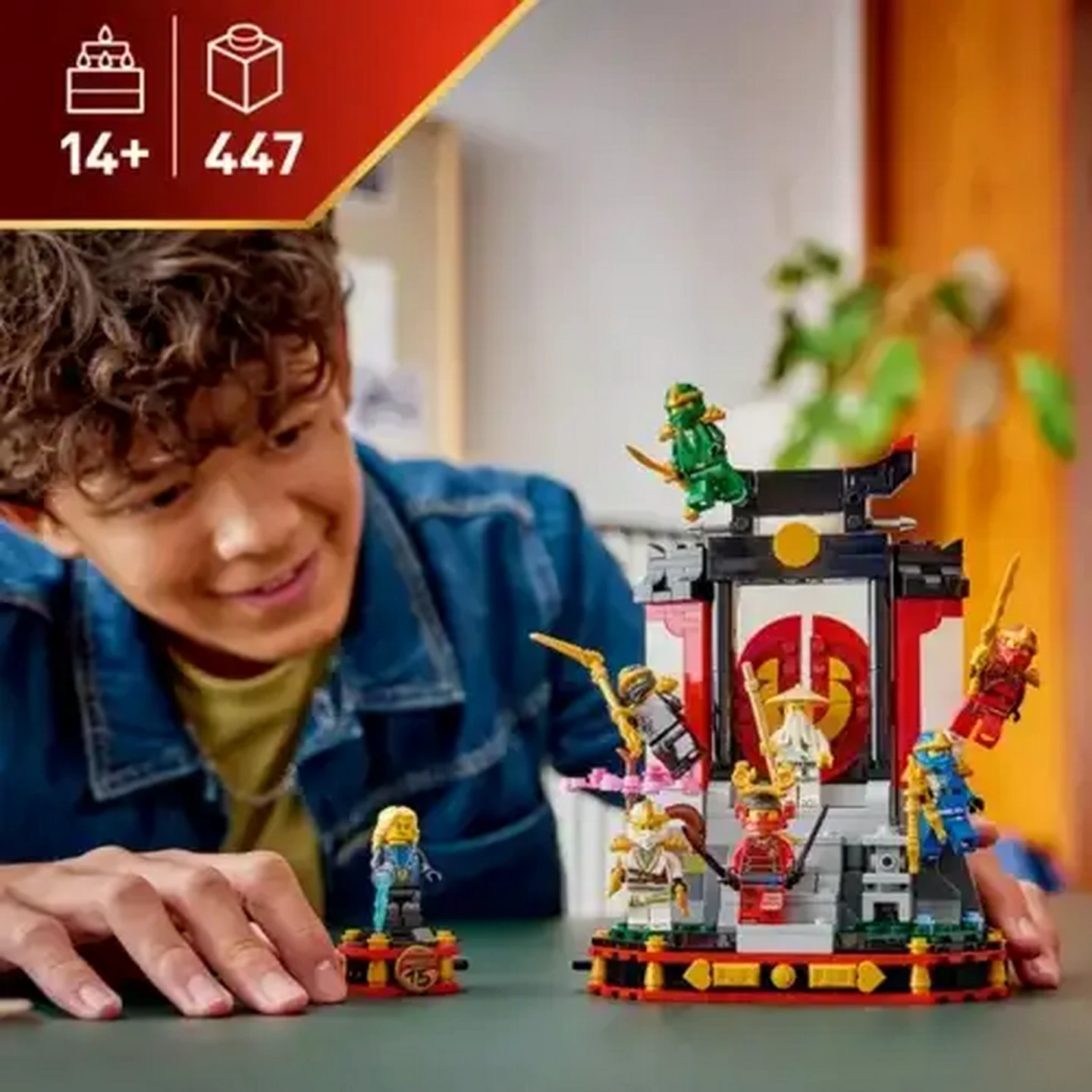 Checkers Sixty60 | LEGO® Ninjago Ninja Character Display 15th