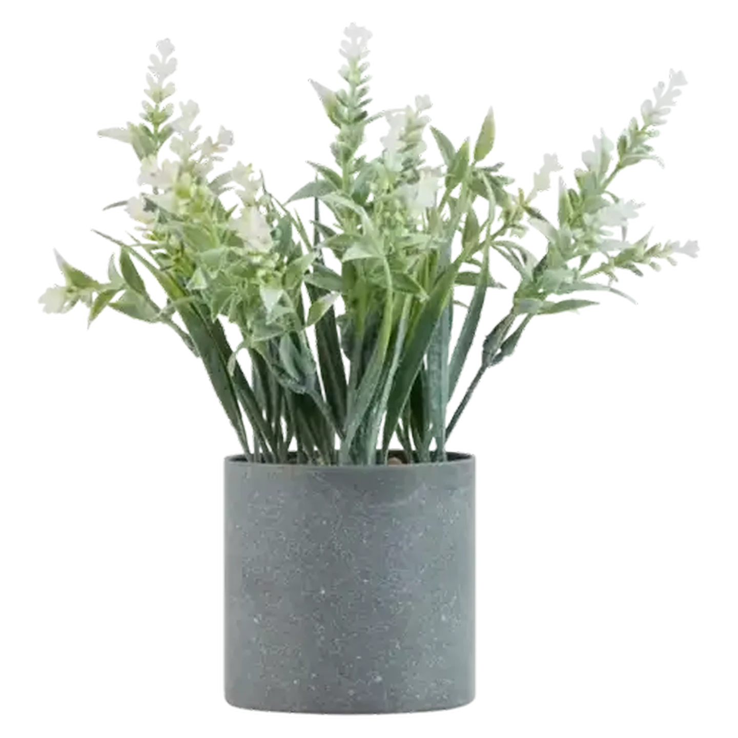 Image of White Flowers In Silver Pot