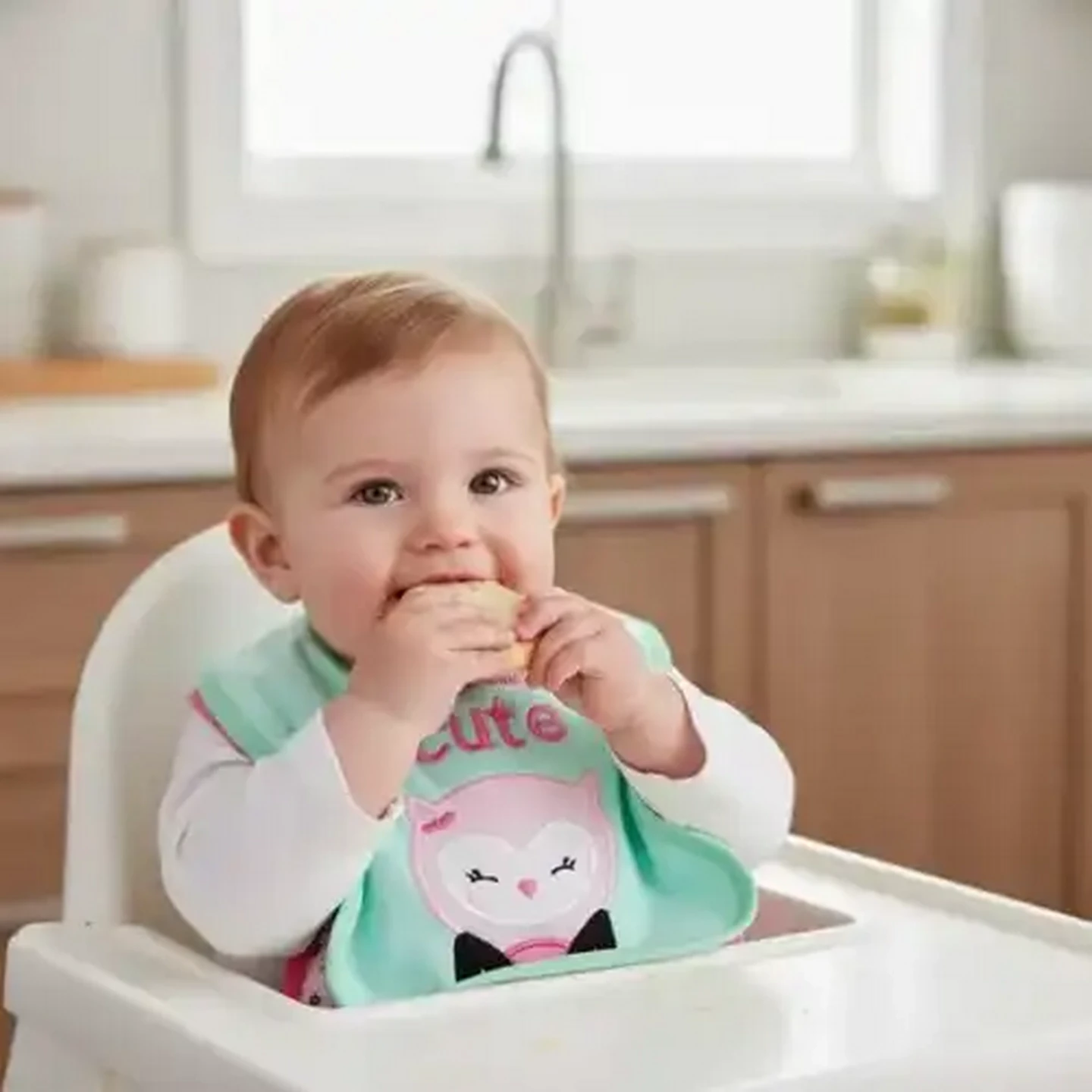 Image of Jolly Tots Basics Baby Bibs 3 Pack (Design May Vary)