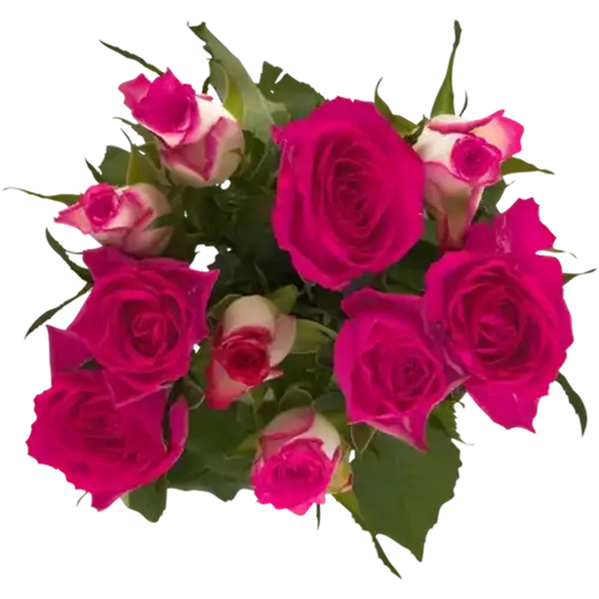Checkers Sixty60 | Pastel Rose Selection Bouquet 1s (Colour May Vary)