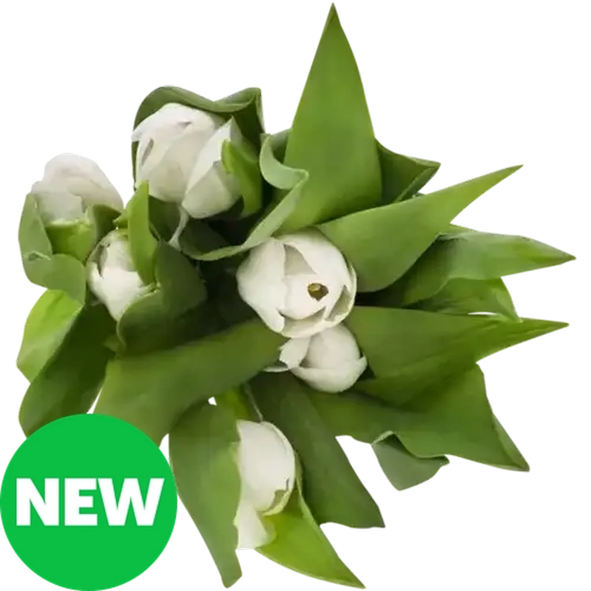 Checkers Sixty60 | Tulips Bouquet (Vase Not Included) (Colour May