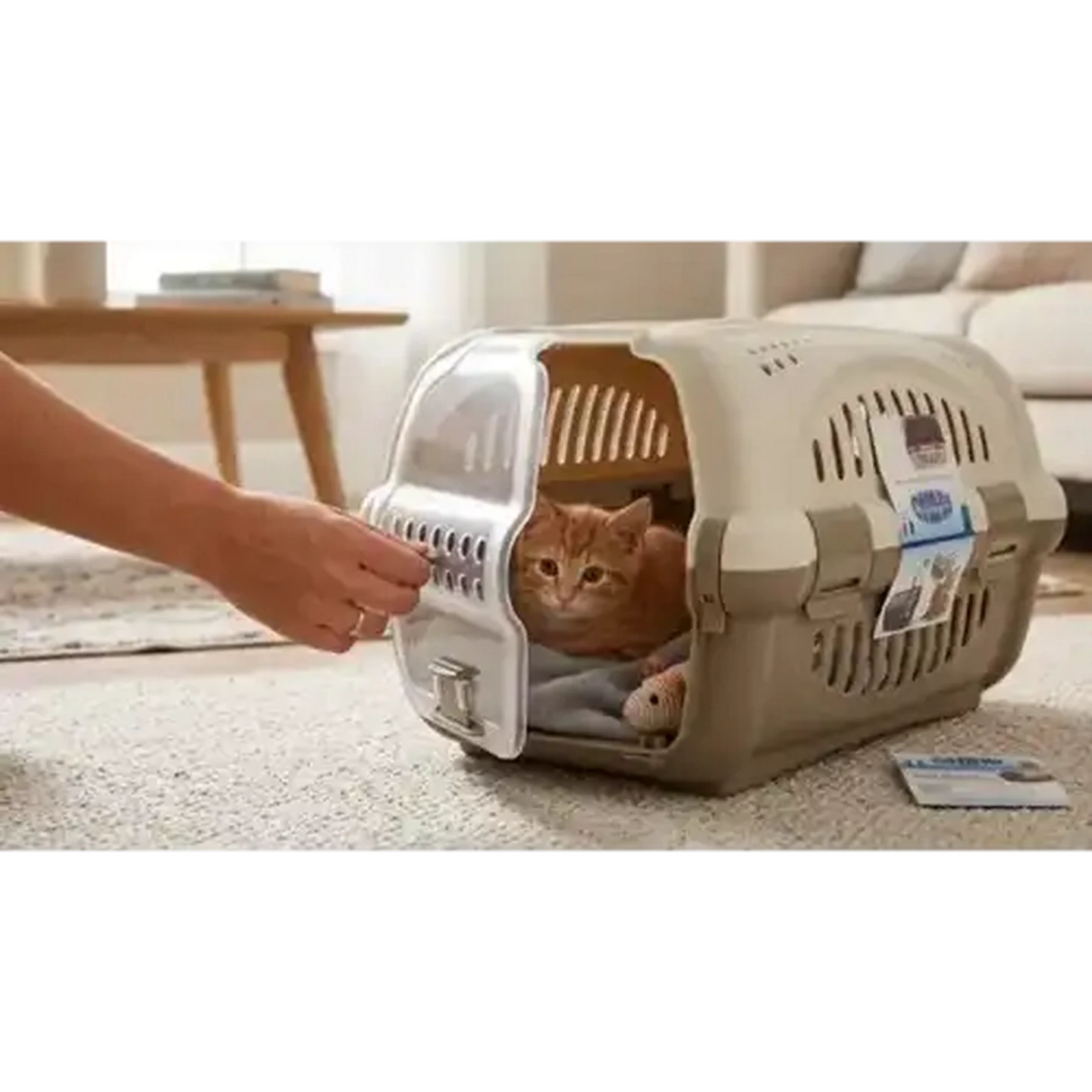 Image of Petshop Rhino Dog & Cat Carrier