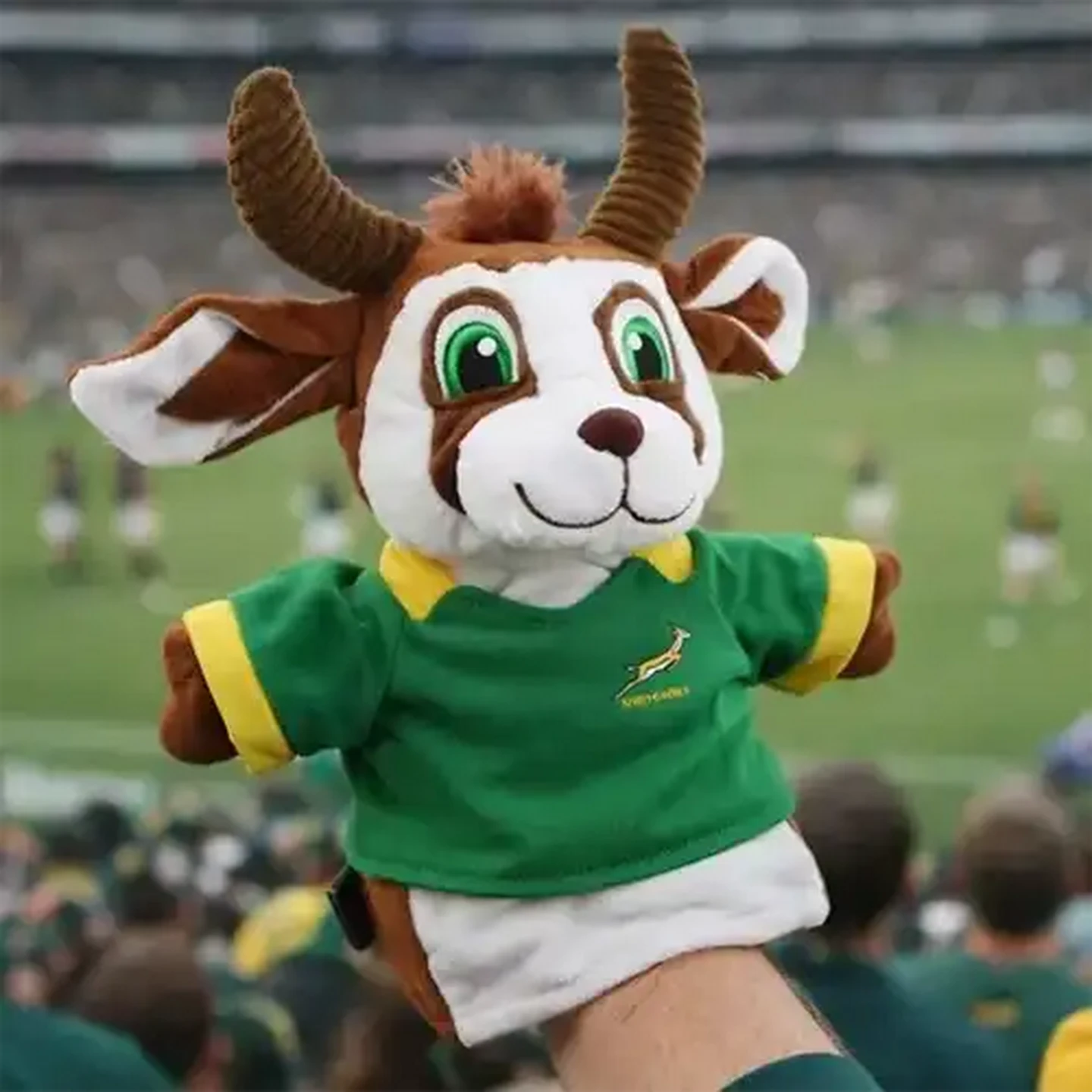 Checkers Sixty60 | Bokkie Hand Puppet 22cm