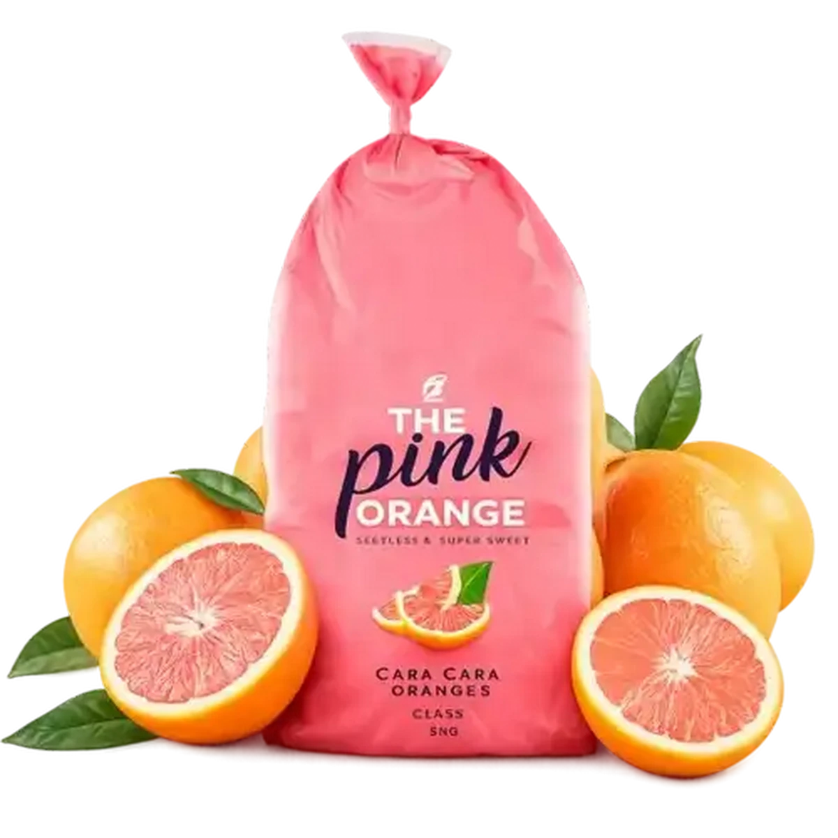 ちゃや①②郵 丸121416(bh)コズ→ネオンピンクレモン他 Checkers Sixty60 | Pink Orange 2kg