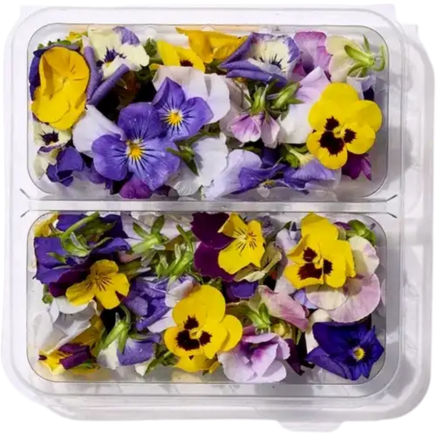 Checkers Sixty60 | Edible Flowers 10g