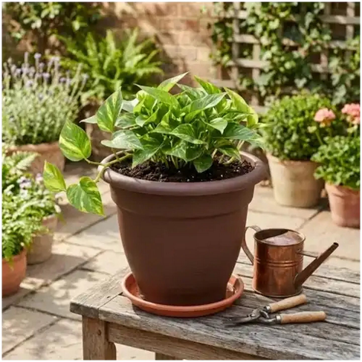 Image of ADDIS Chocolate Brown Venus Plant Pot 36cm