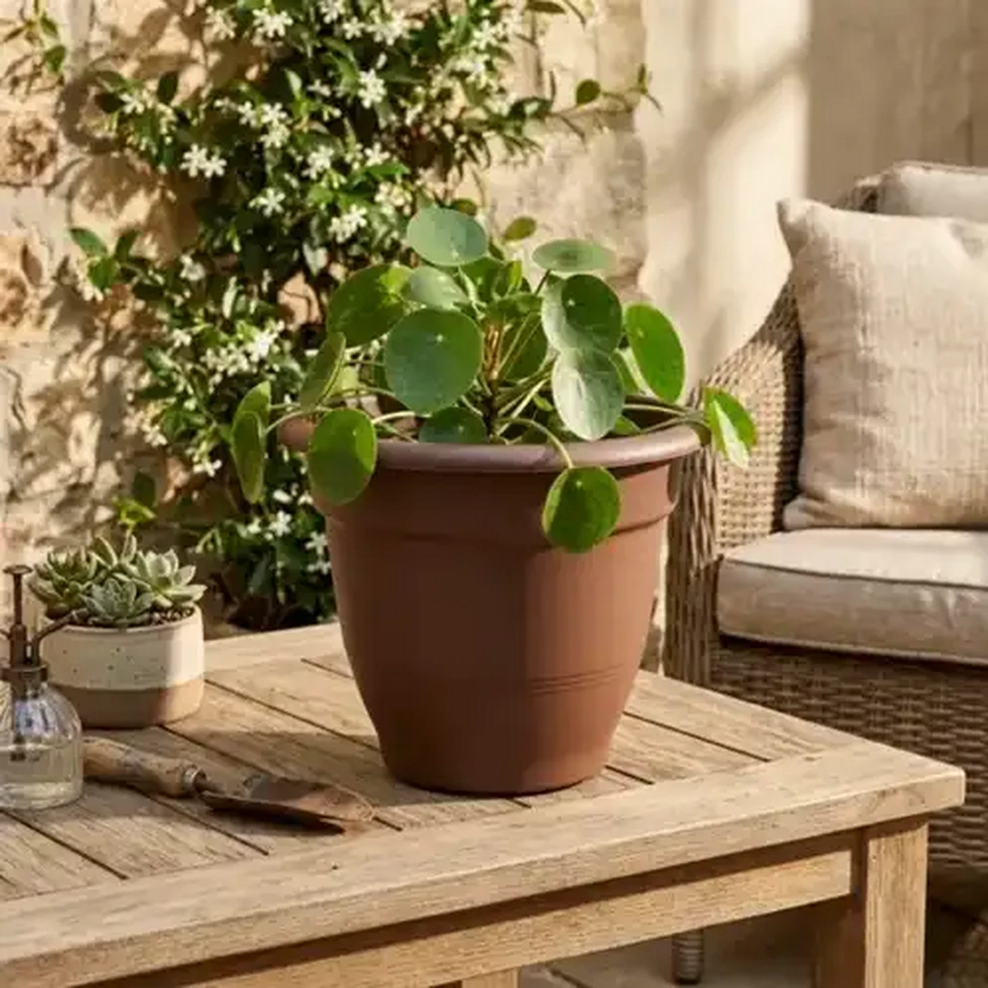 Image of ADDIS Chocolate Brown Venus Plant Pot 32cm