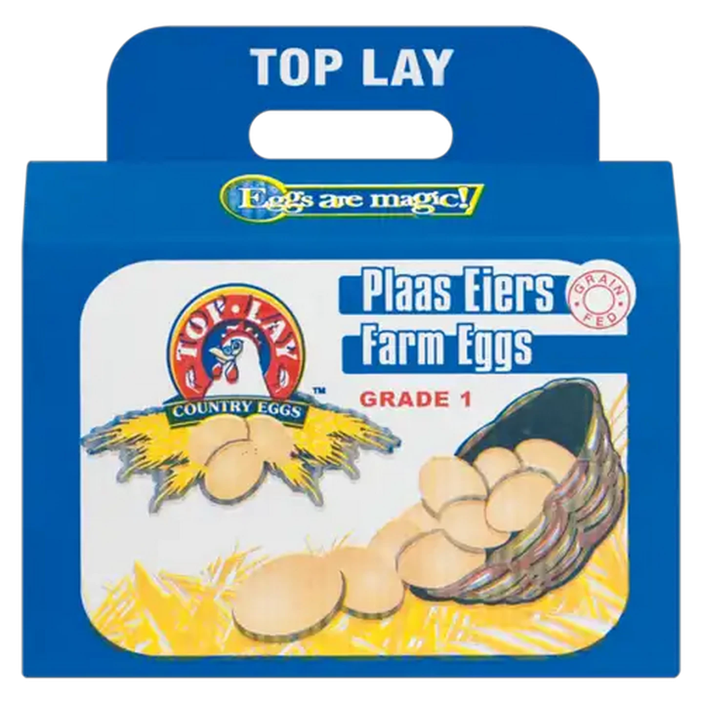 Image of TopLay Large Eggs 48 Pack