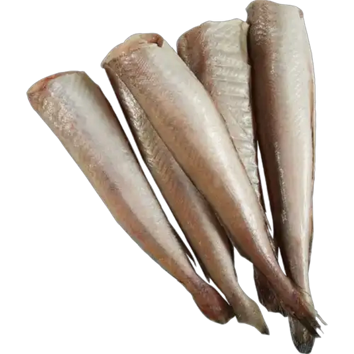 Image of Frozen Baby Hake Fillets Per kg