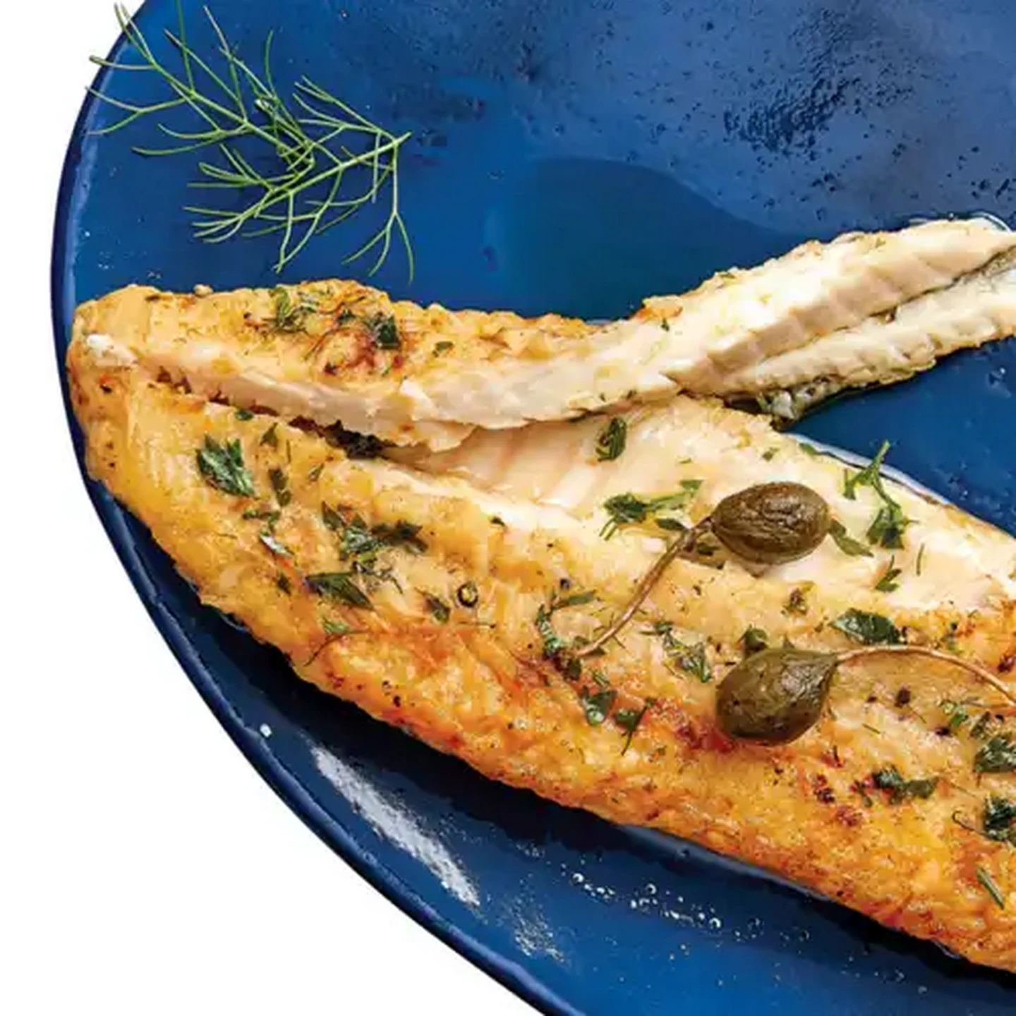 Image of Forage And Feast Frozen Dressed Sole 500g