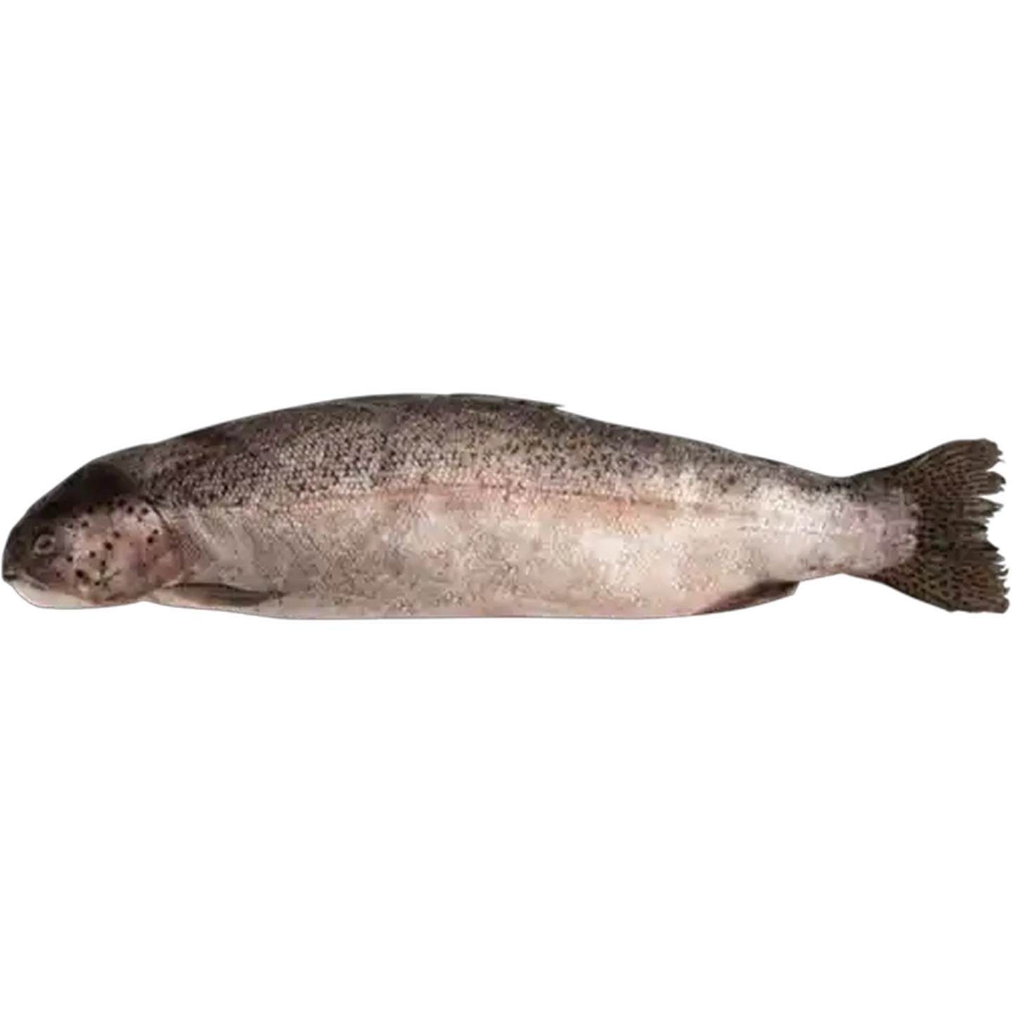 Image of Fisherman's Deli Frozen Deboned Trout Per kg