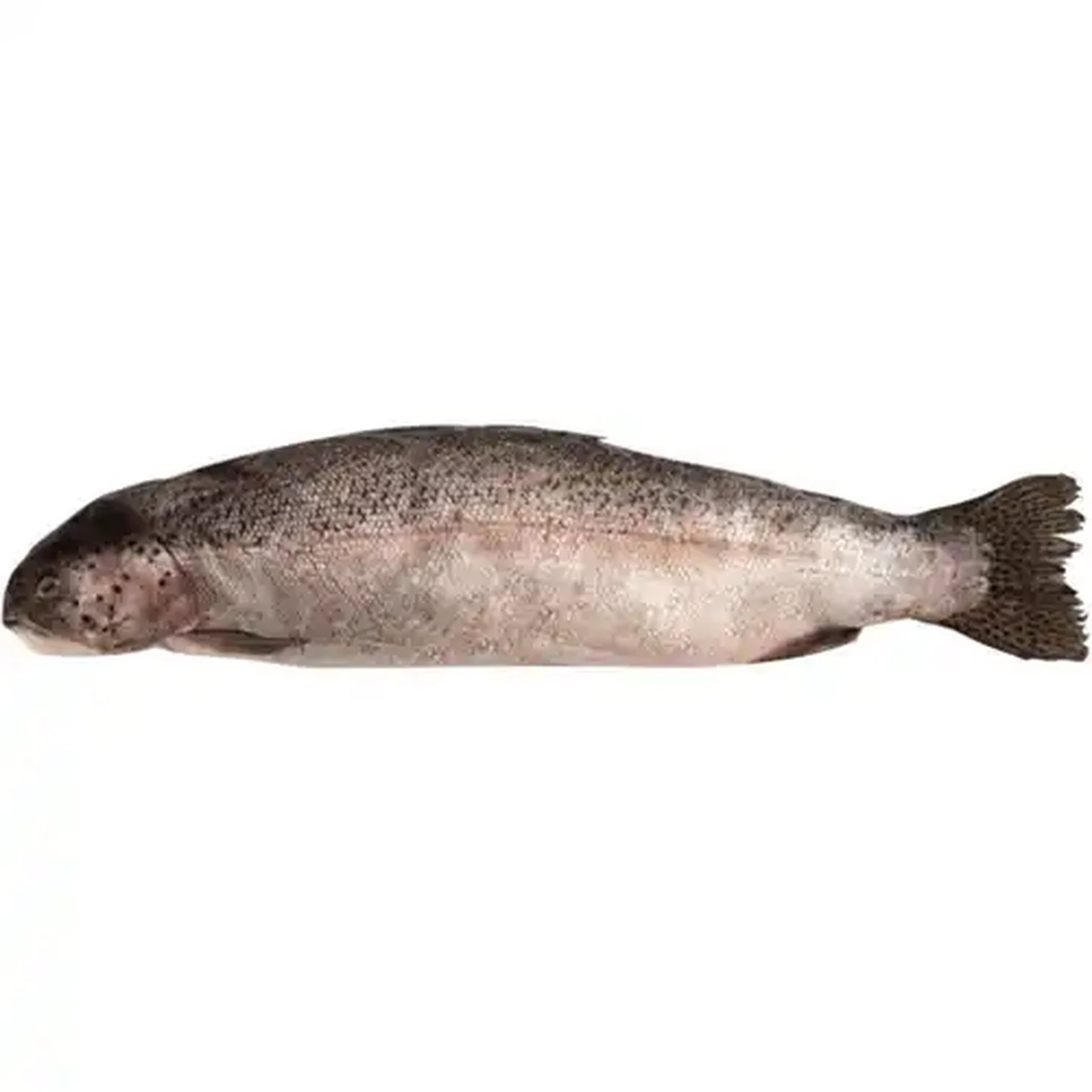 Image of Fisherman's Deli Frozen Deboned Trout Per kg