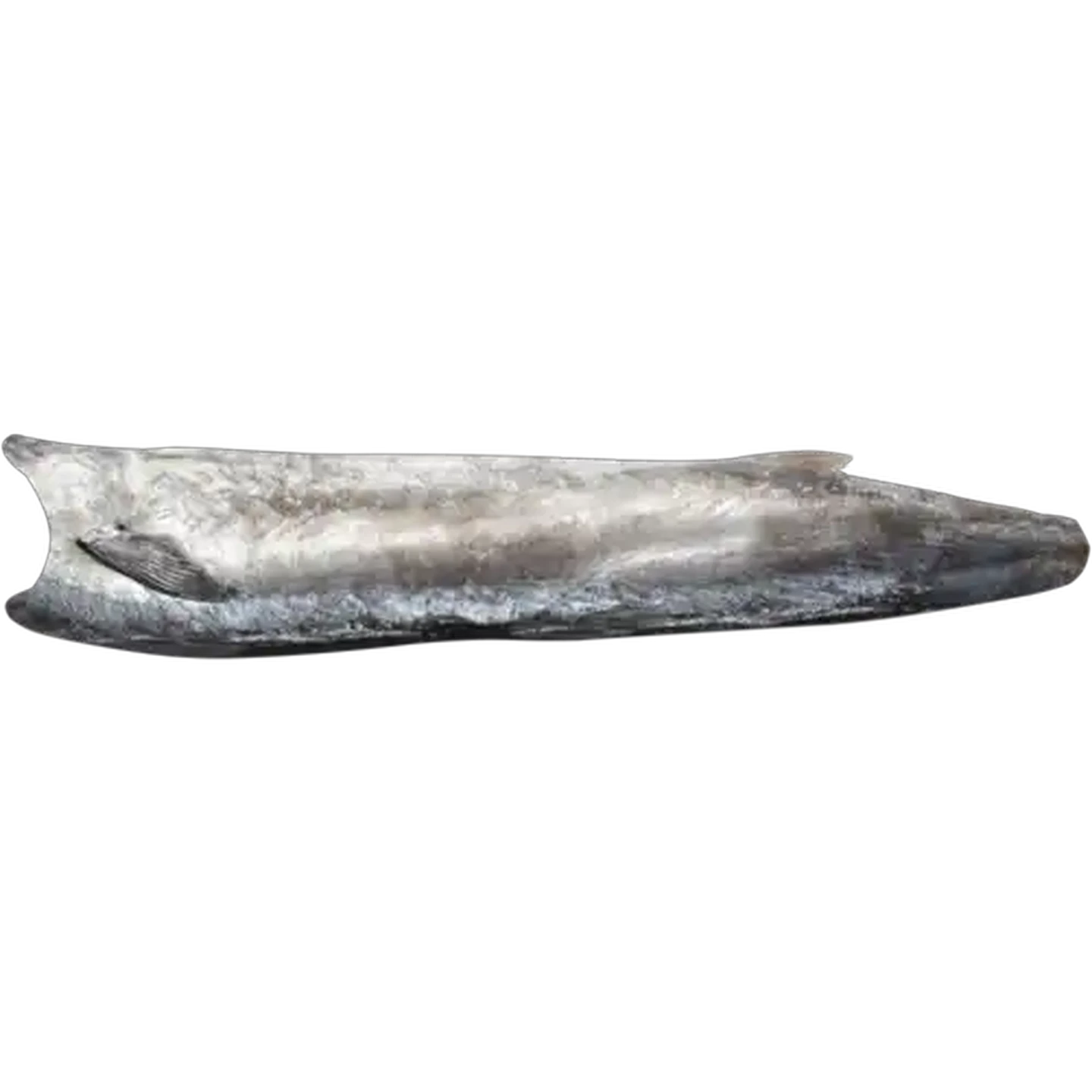 Image of Frozen Snoek Per kg