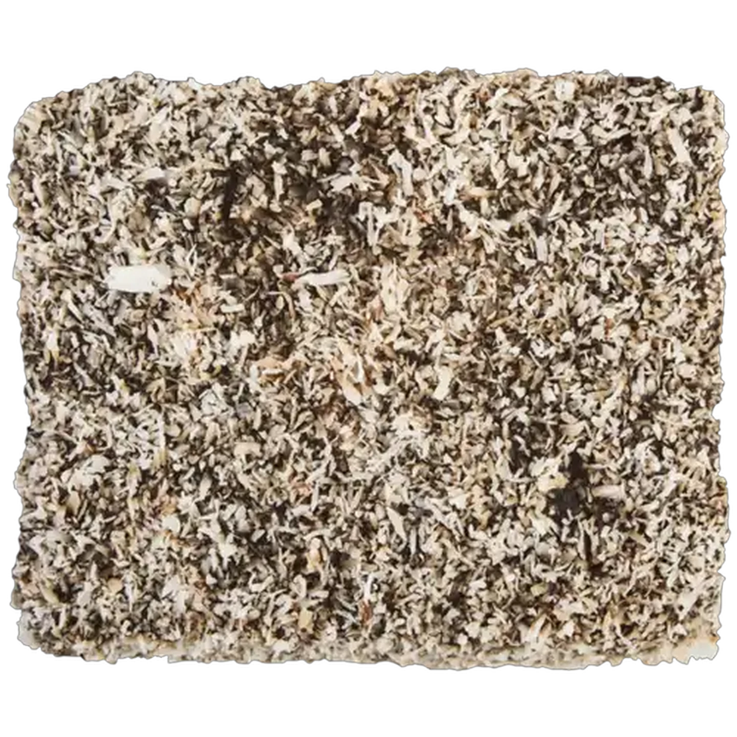 Image of Chocolate Lamington