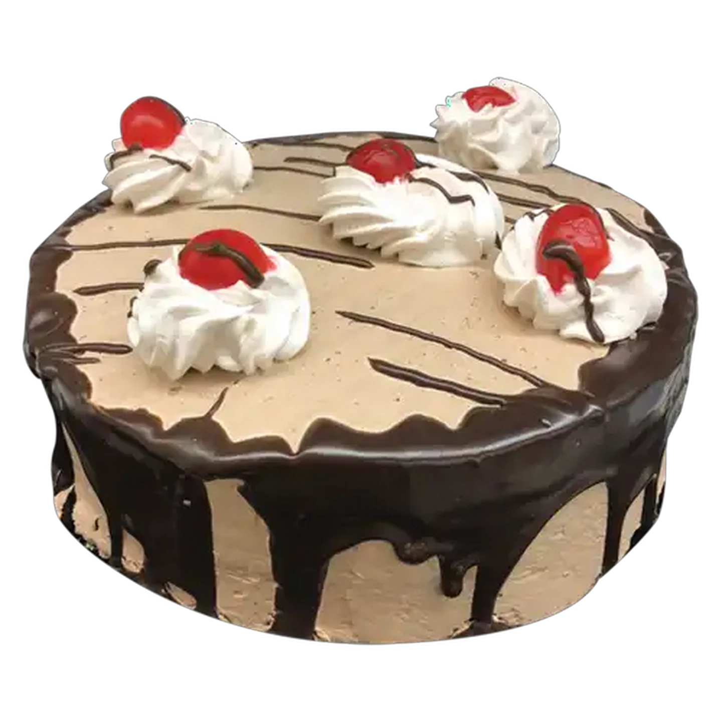 Image of Chocolate Dessert Cake