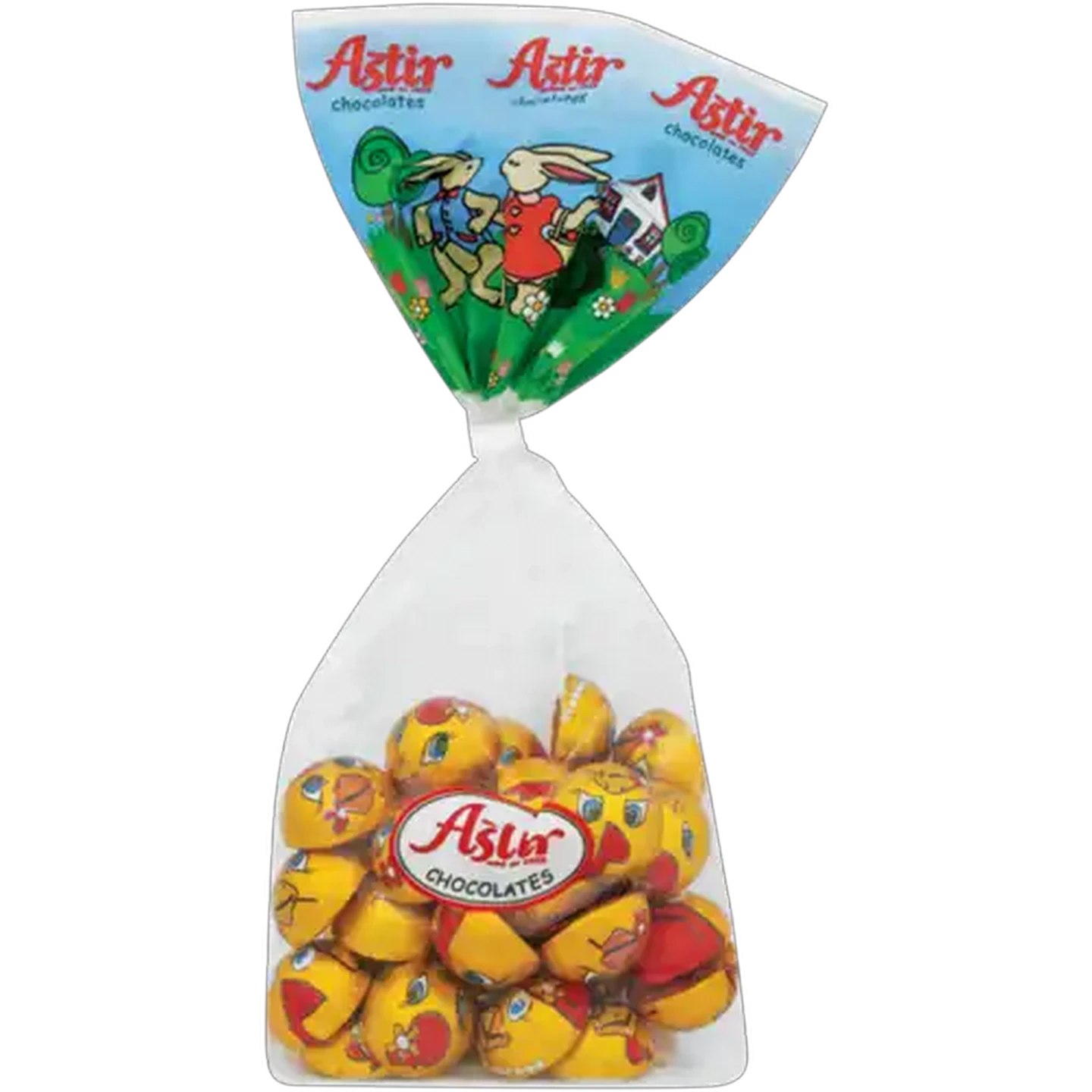 Image of ASTIR Chocolate Praline Duck 200g