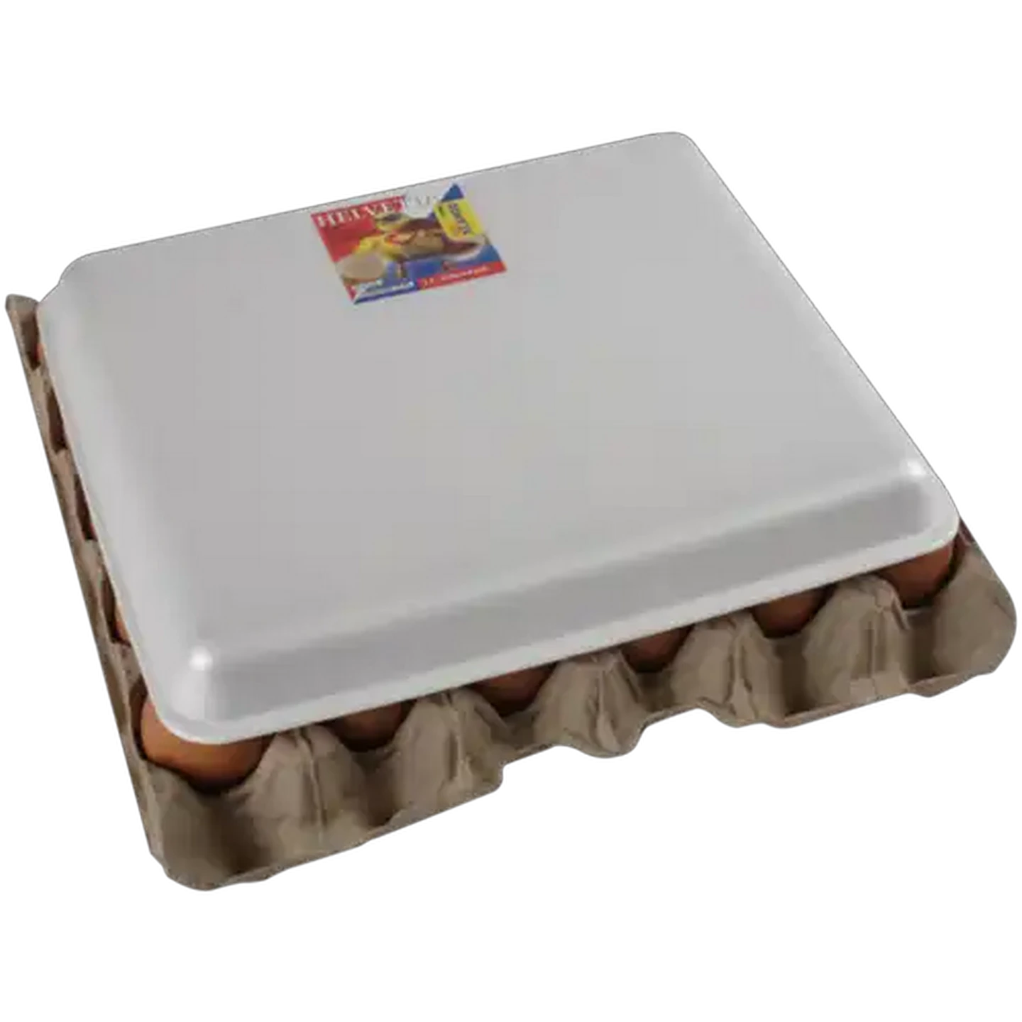 Image of Helvetia Eggs 30 Pack