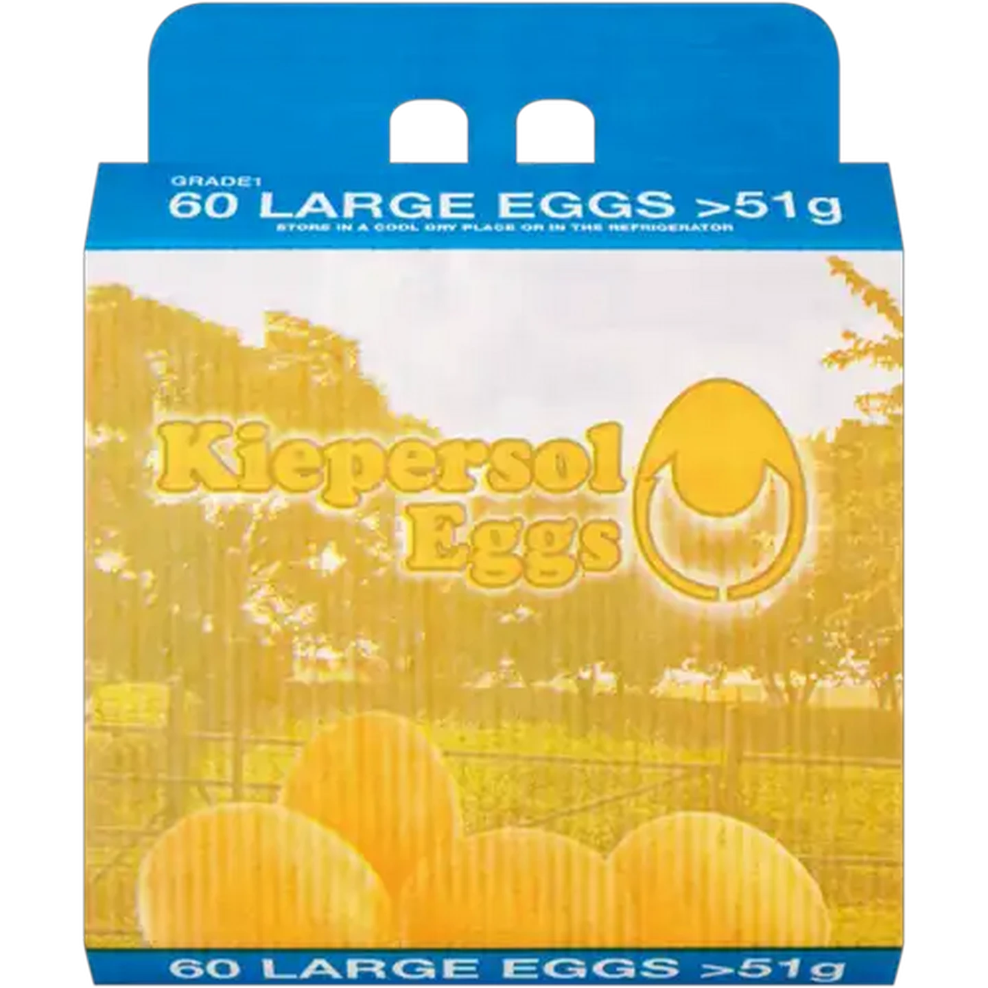 Image of Kiepersol Large Eggs 60 Pack