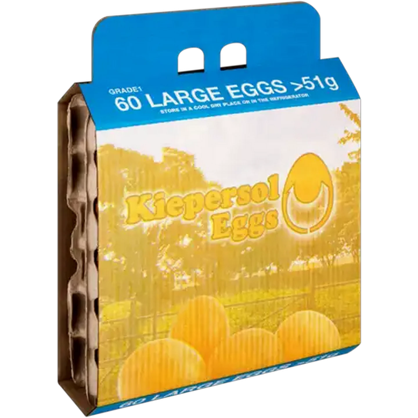Image of Kiepersol Large Eggs 60 Pack