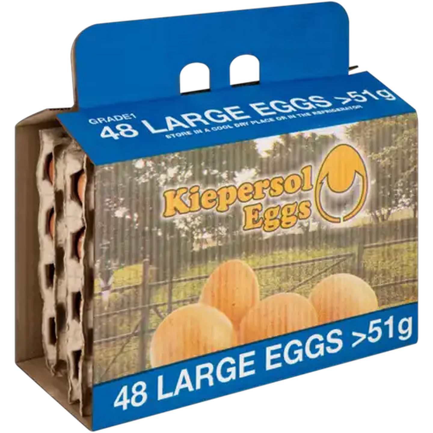 Image of Kiepersol Large Eggs 48 Pack