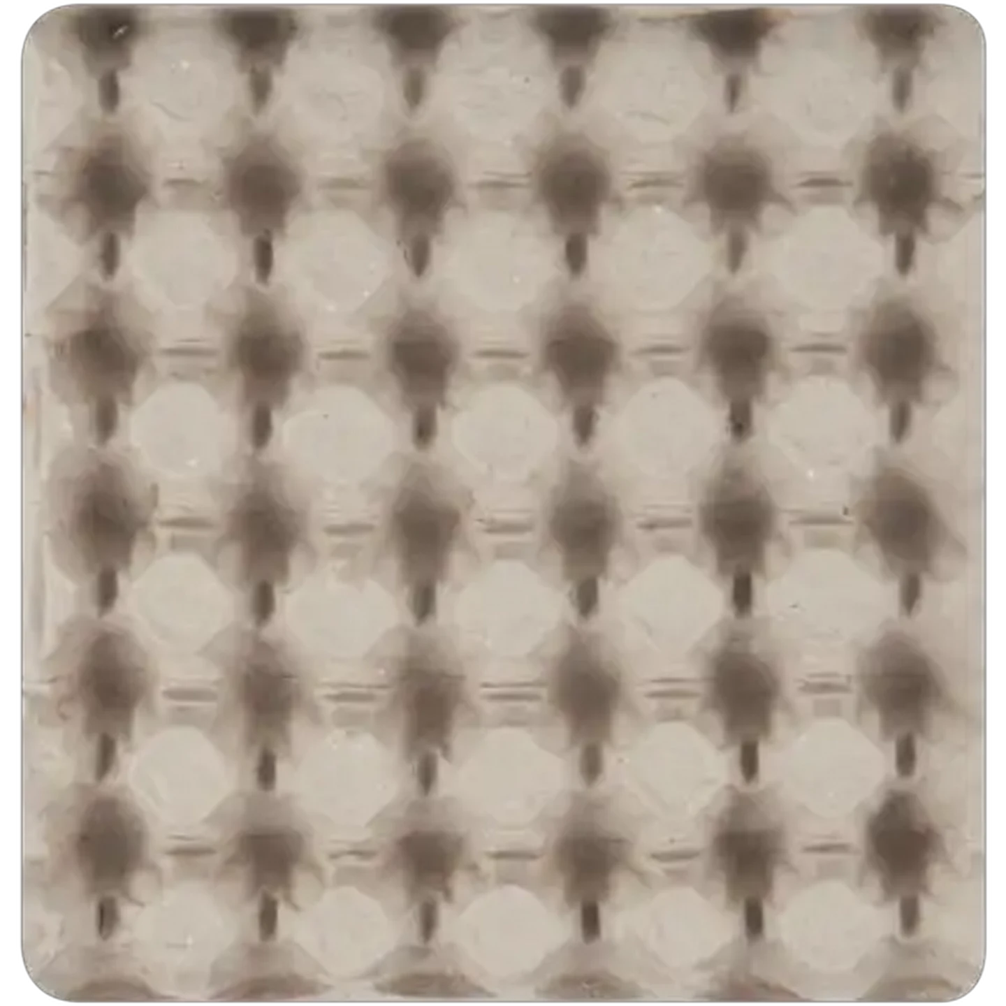 Image of Kiepersol Medium Eggs 30 Pack