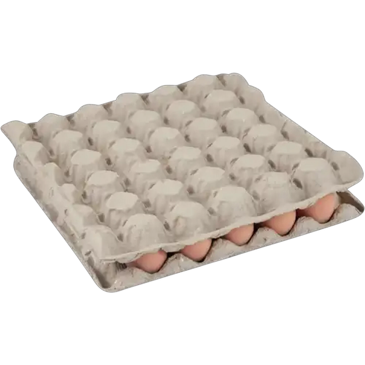 Image of Kiepersol Medium Eggs 30 Pack