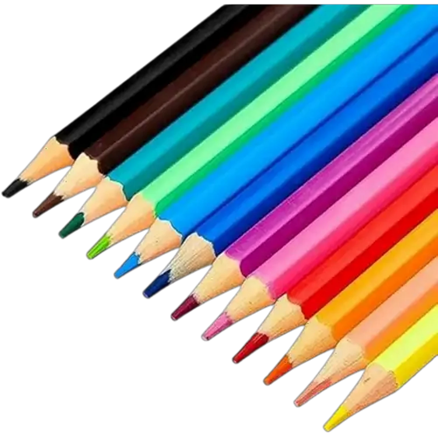 Image of Staedtler Coloured Pencils 12-Pack