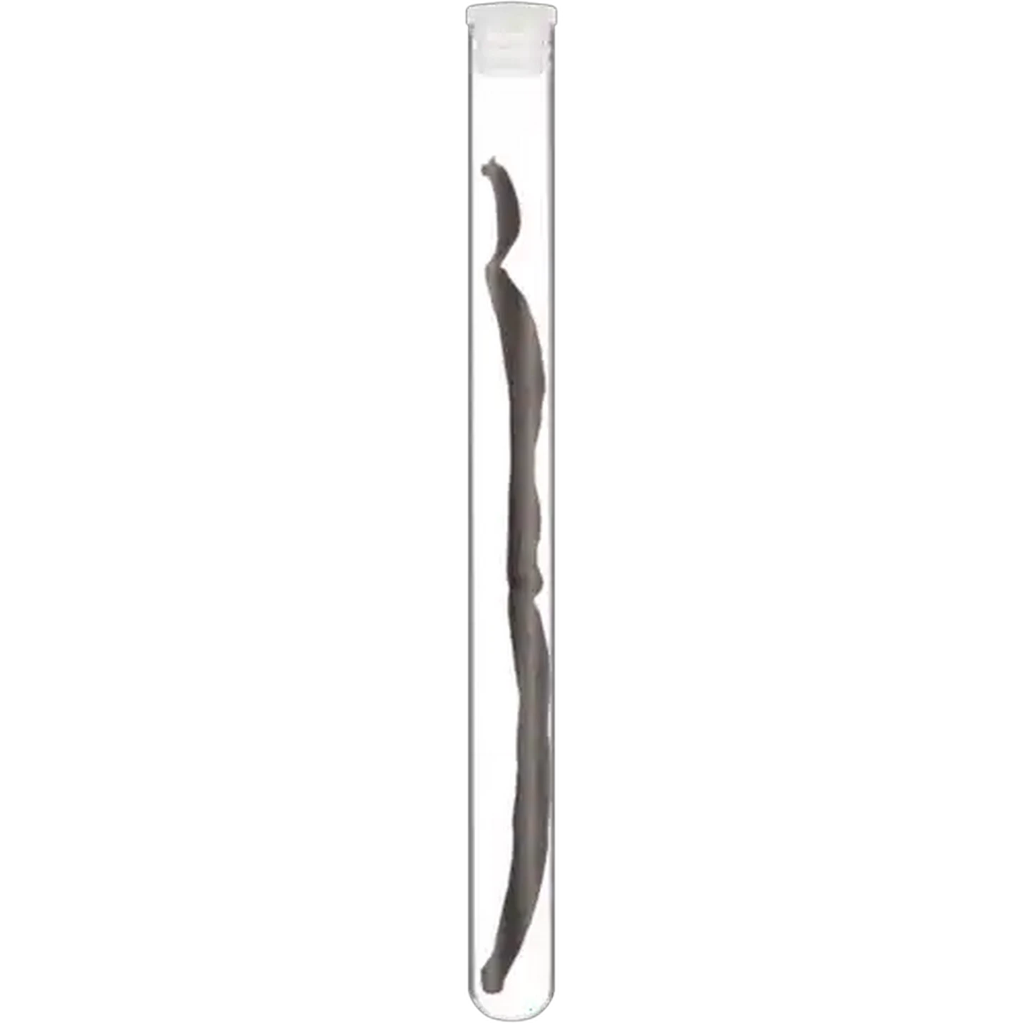Image of Cape Herb & Spice Vanilla Pod 2g