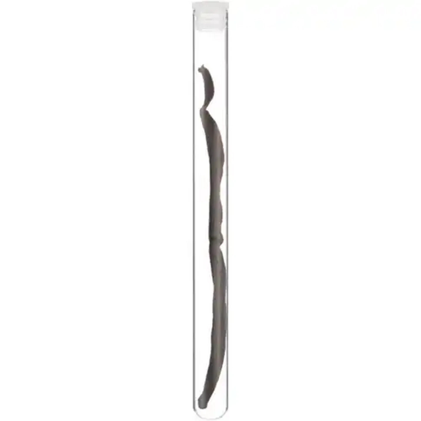 Image of Cape Herb & Spice Vanilla Pod 2g