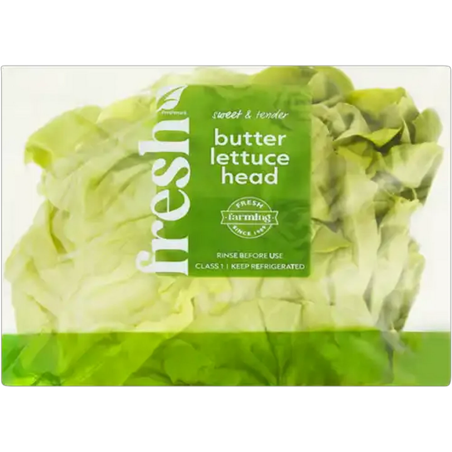 Image of Butter Lettuce Head