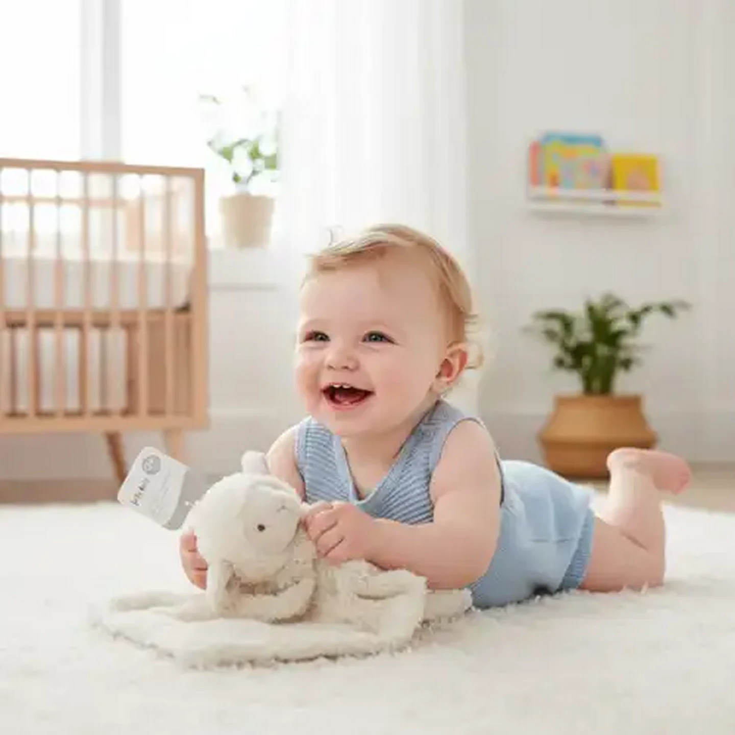Image of Jolly Tots Basics Cream Sheep Comfort Teddy Blanket