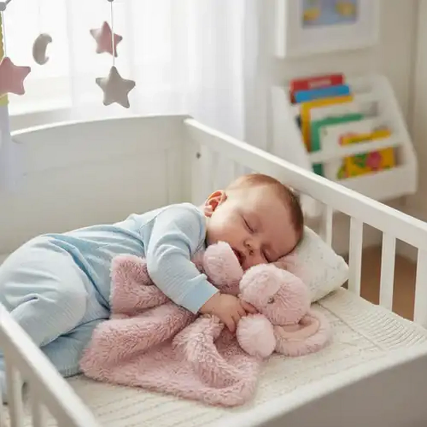 Image of Jolly Tots Basics Pink Elephant Comfort Teddy Blanket