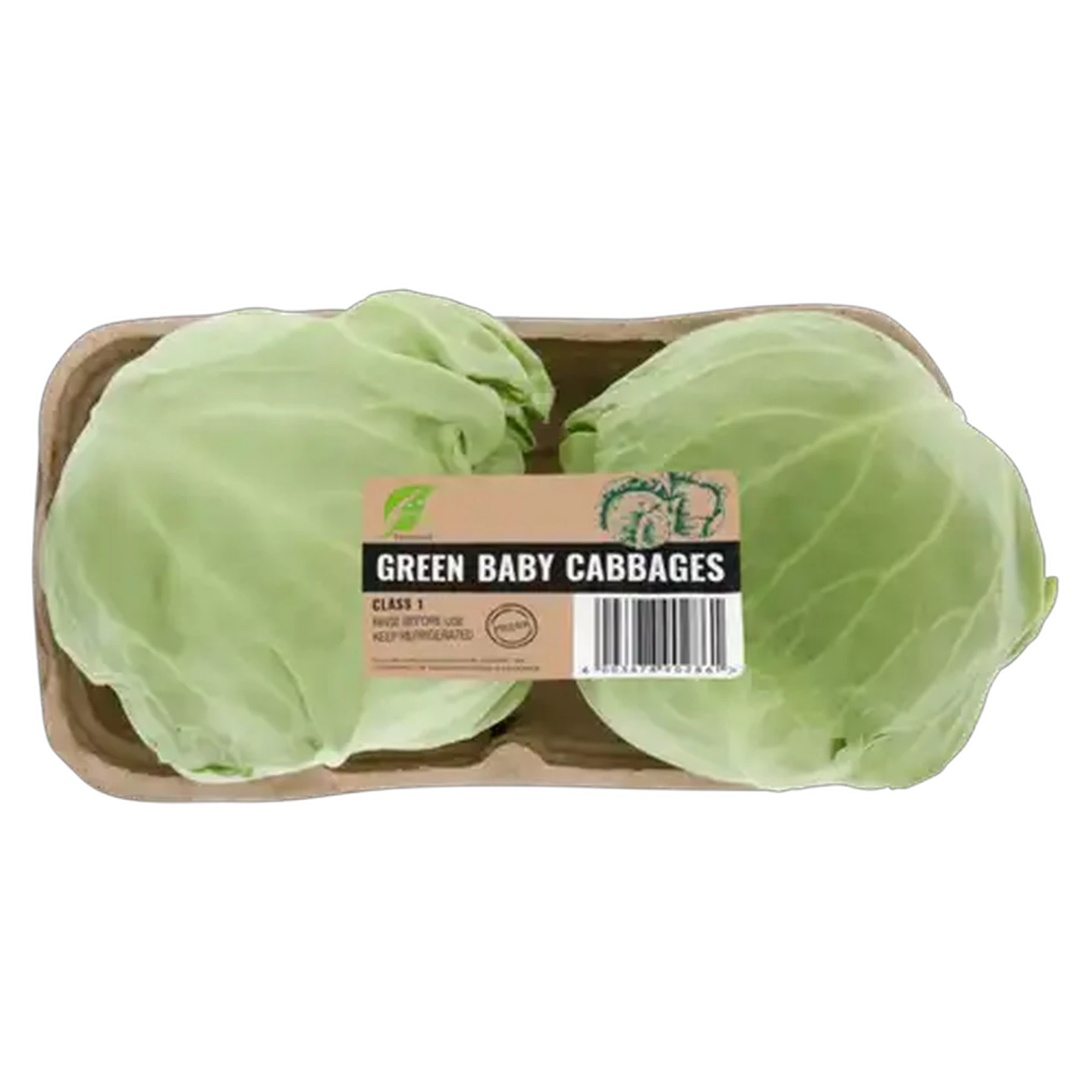Image of Green Baby Cabbage 2s