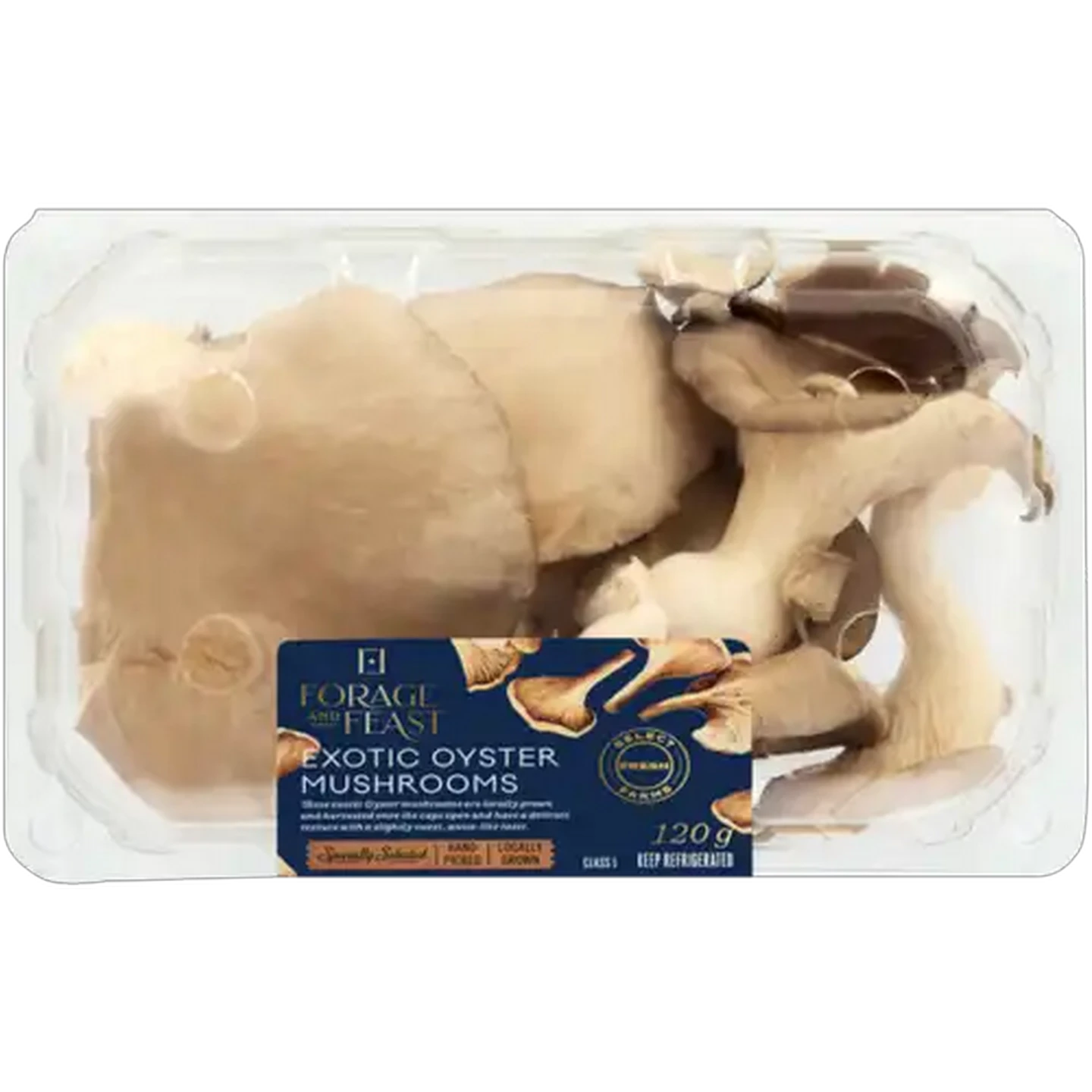 Image of Forage And Feast Exotic Oyster Mushrooms 120g