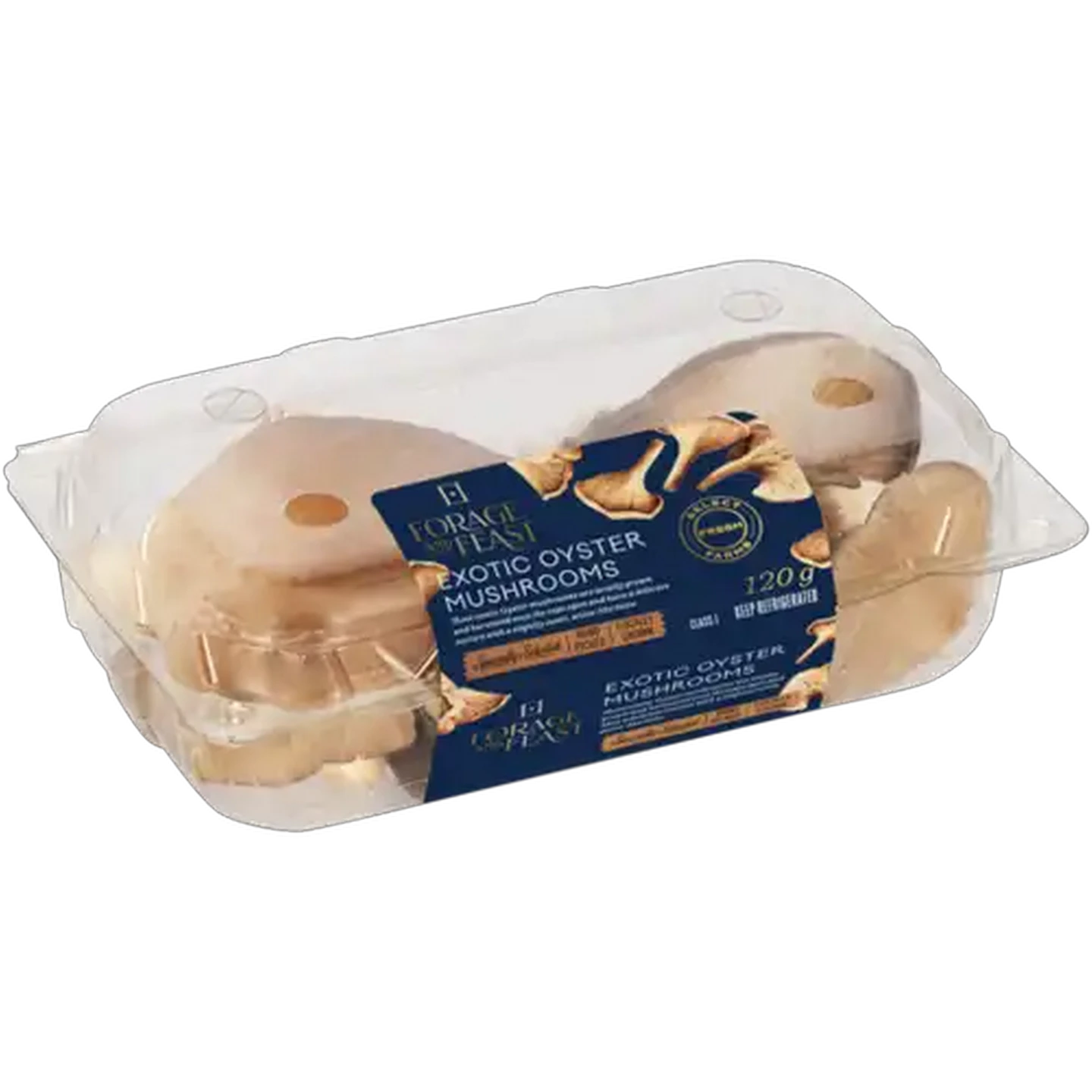 Image of Forage And Feast Exotic Oyster Mushrooms 120g