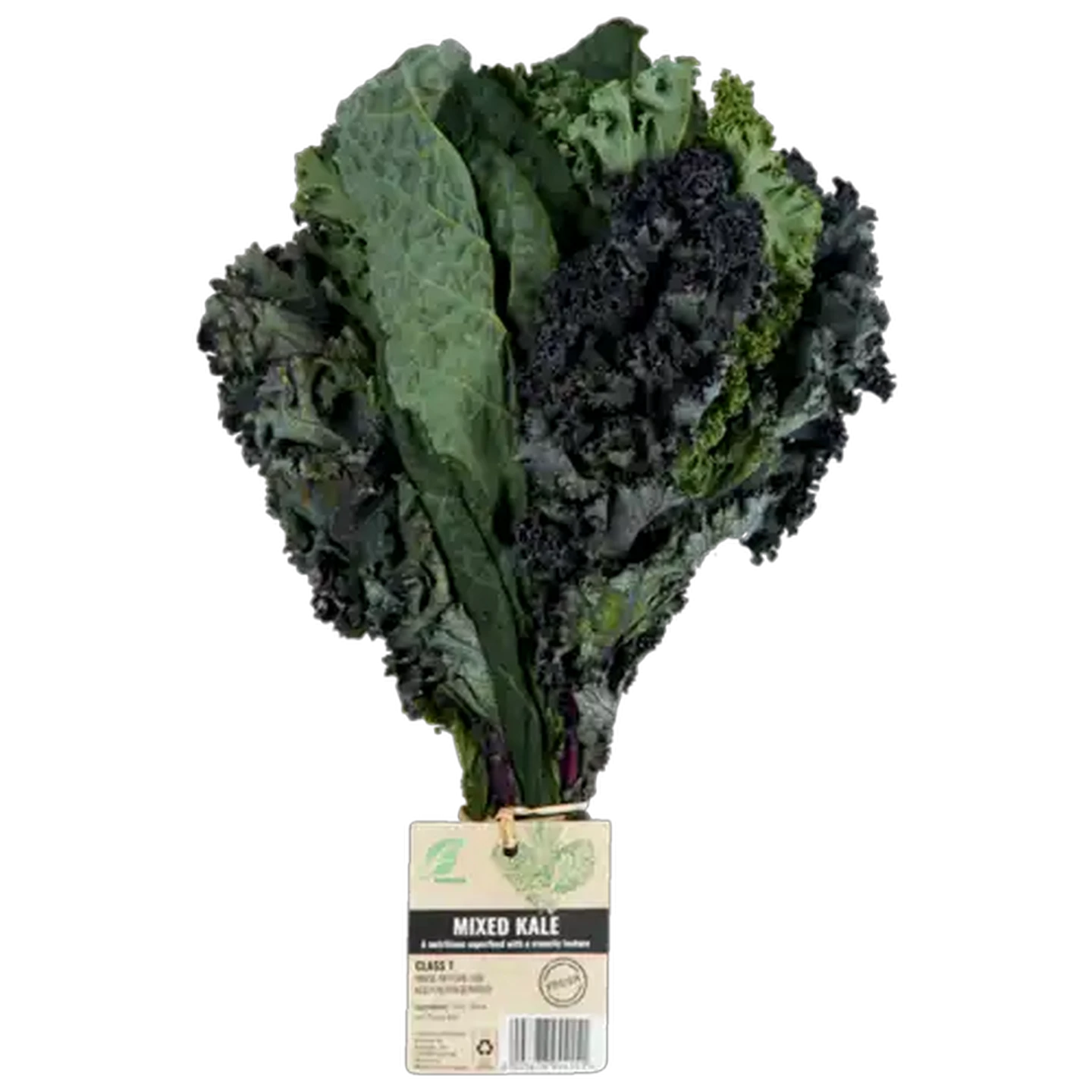 Image of Mixed Kale Bunch