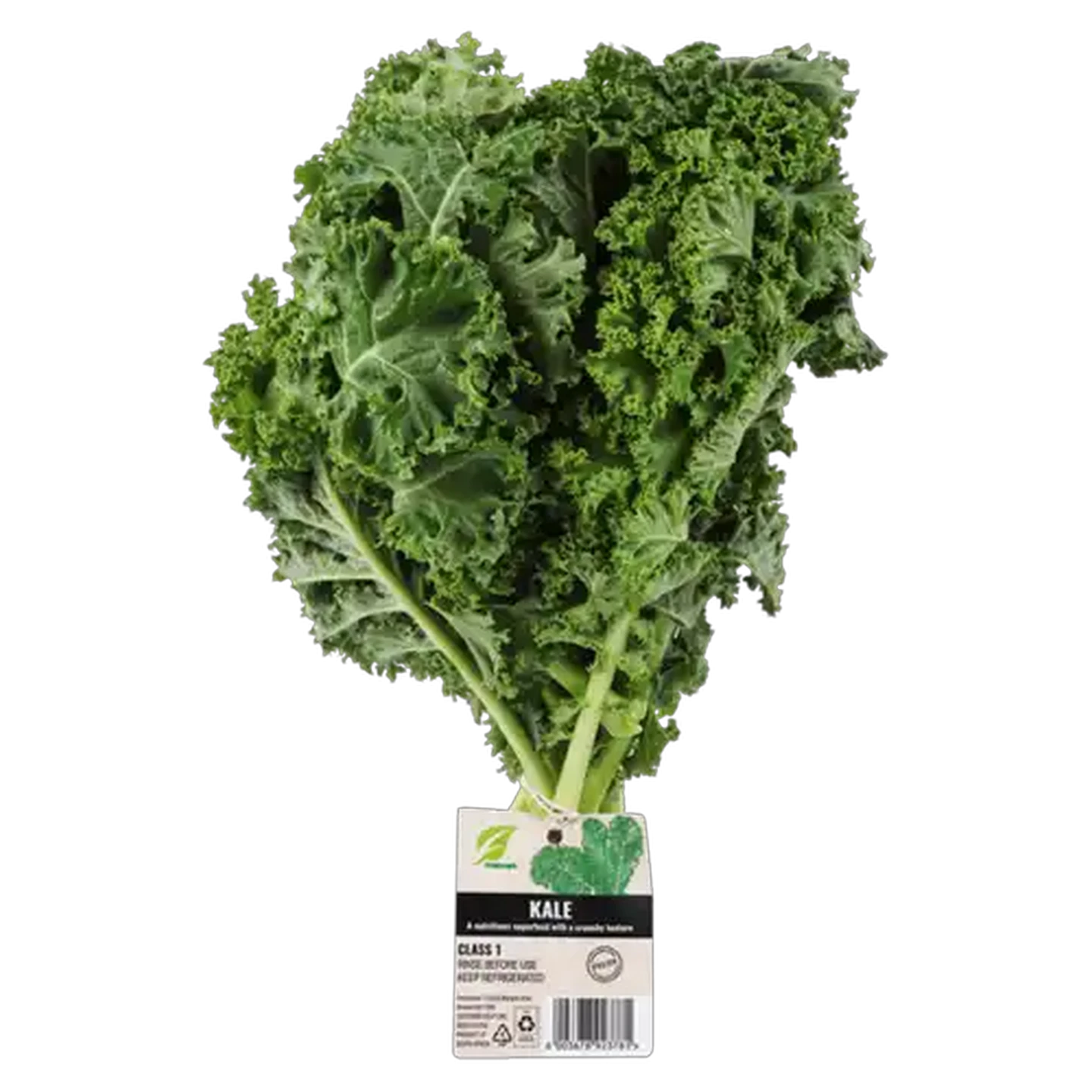 Image of Kale Bunch