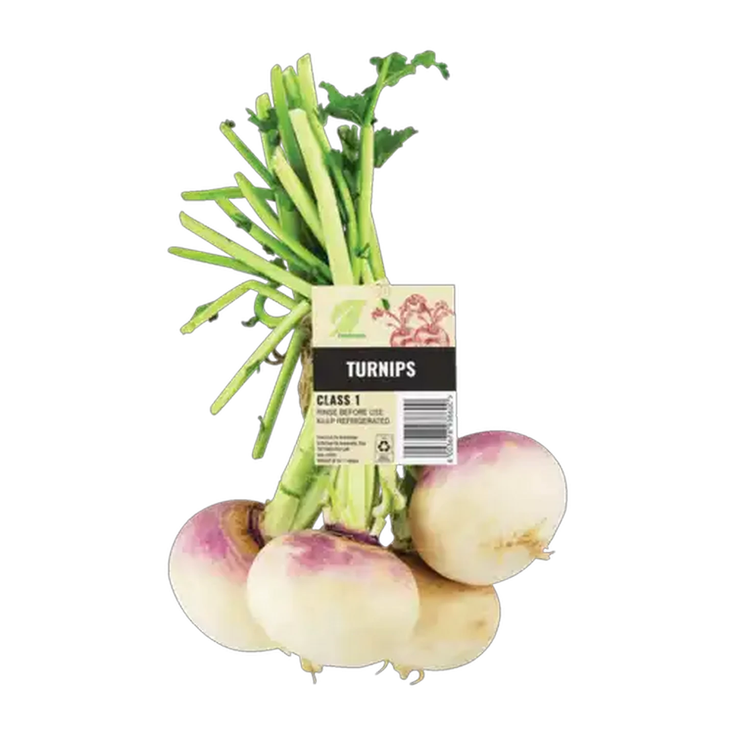 Image of Turnip Bunch
