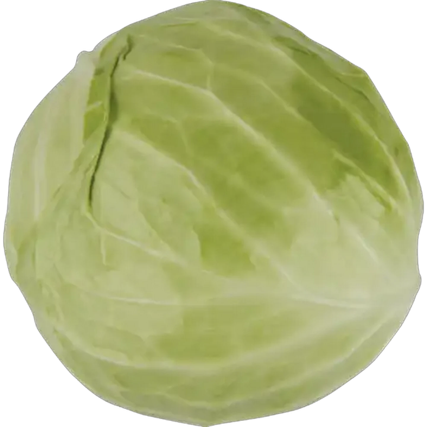 Image of Unwrapped Cabbage