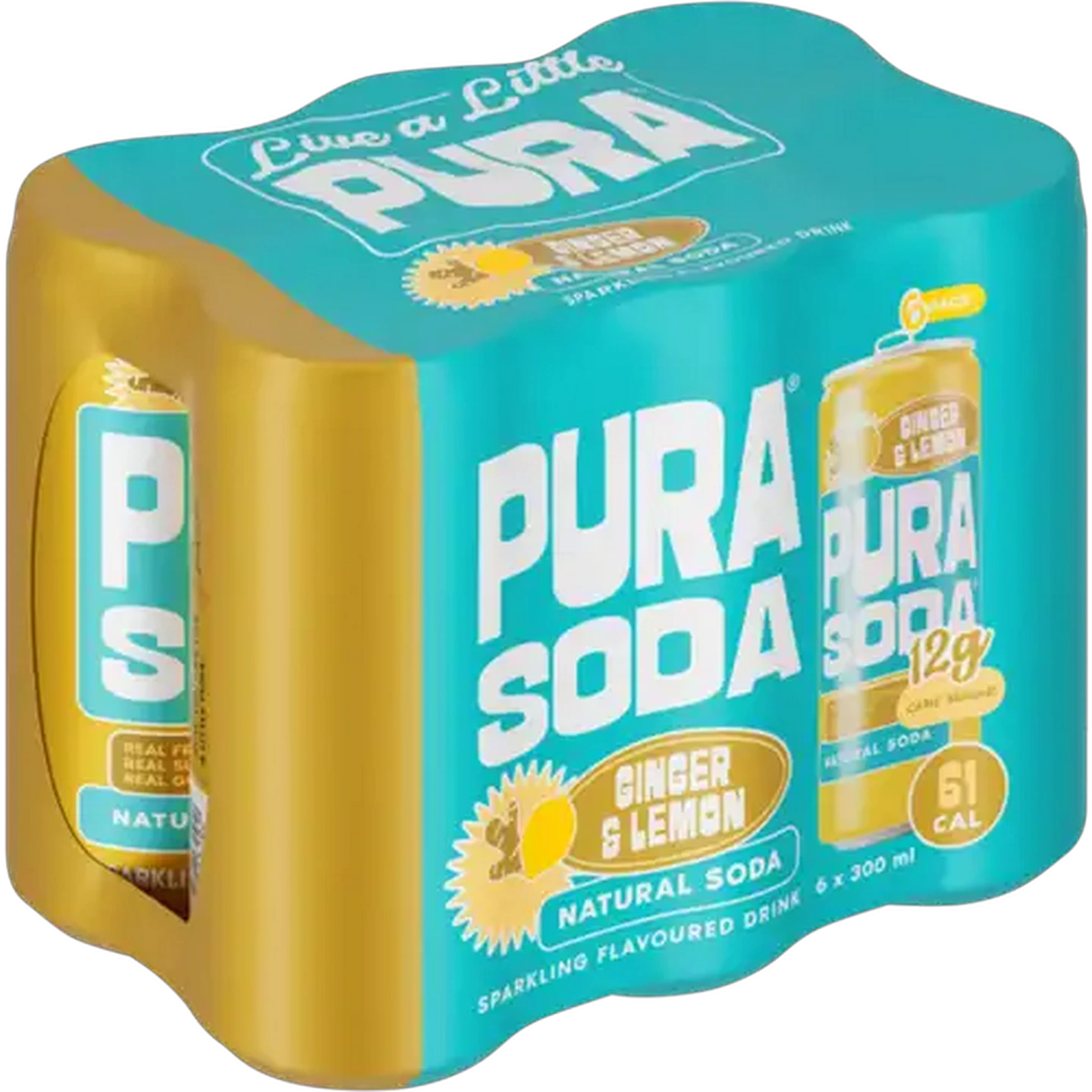Image of PURA Soda Ginger & Lemon Flavoured Sparkling Drink 6 x 300ml