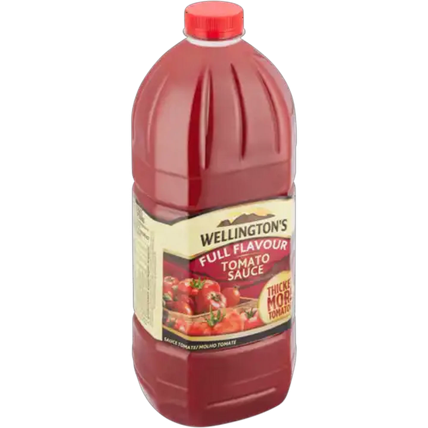 Image of Wellington's Full Flavour Tomato Sauce 2L