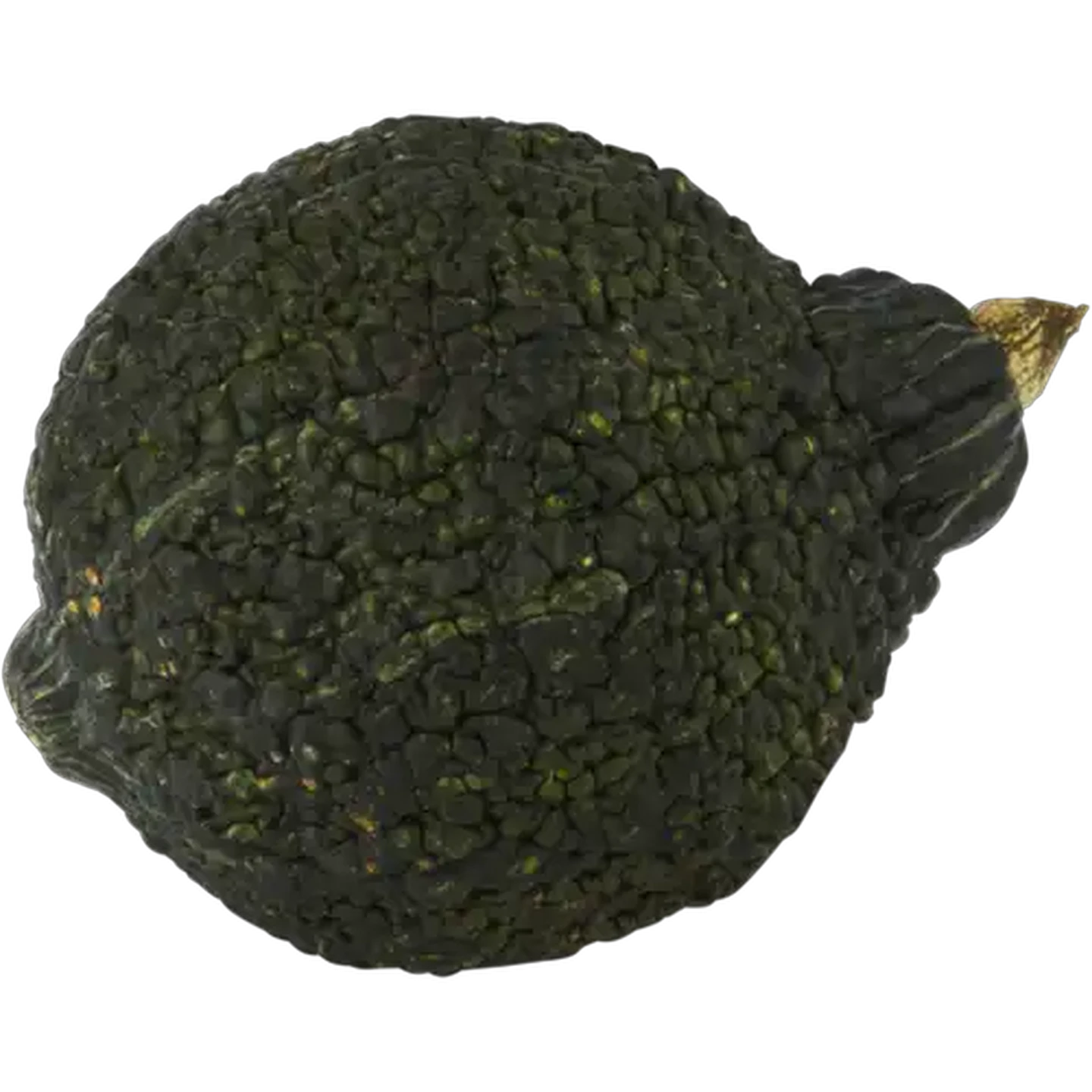 Image of Hubbard Squash 1s